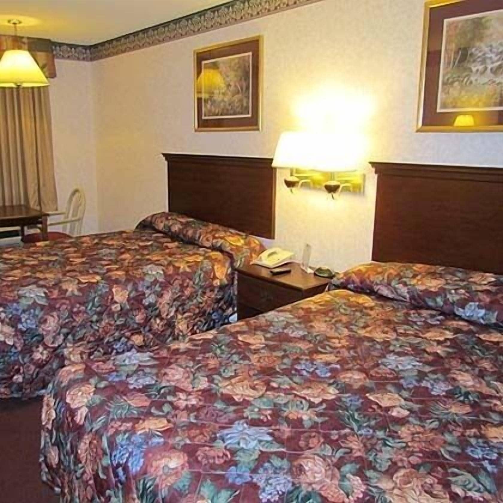 Eagle Inn Sumter Rum bild