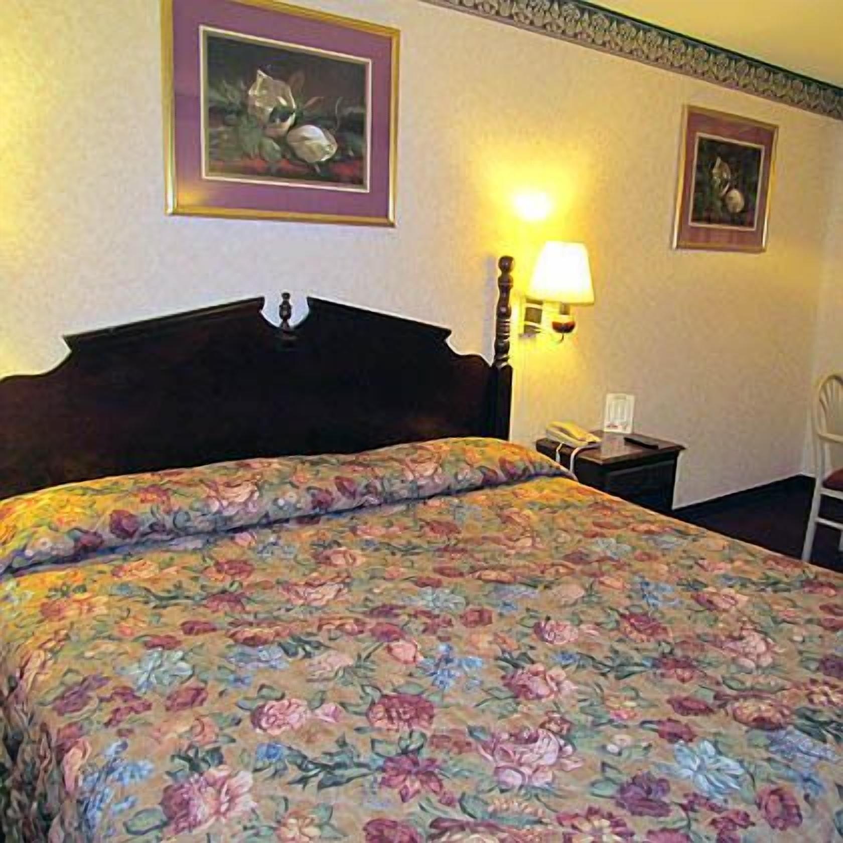 Eagle Inn Sumter Rum bild